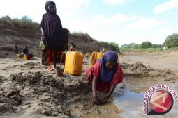 Rawan Pangan Melanda 6,2 Juta Orang di Somalia