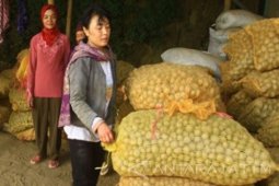 Pemkab Probolinggo Dorong Pendirian Kampung Keripik Kentang