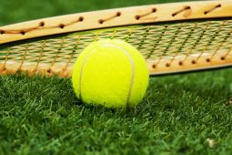 Australia, Prancis dan AS Melaju ke Piala Davis
