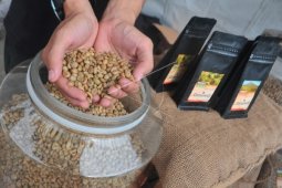 Lima Kafe Nyaman di Bandung untuk WFC