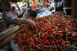 Sidoarjo Lakukan Operasi Pasar Stabilkan Harga Cabai