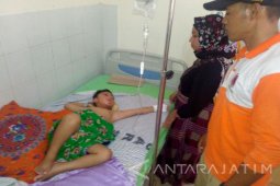 BPBD Situbondo: Pengendara Motor Tertimpa Pohon Tumbang