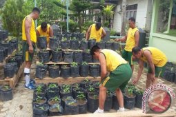 Kodim Tanjab himbau masyarakat tanam cabai
