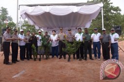 PT Timah-Polda Babel Tanami Pangan di Bekas Tambang
