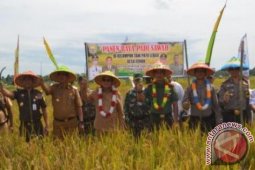 Danrem Gapu hadiri panen raya
