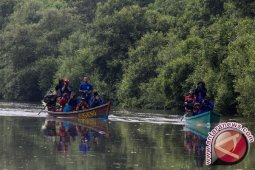 Ratusan hektare hutan bakau Bangka Tengah tempat budi daya kepiting