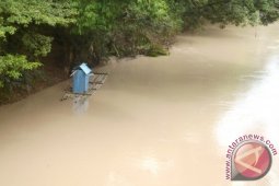 Air Sungai Balangan Mengandung Virus KHV