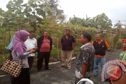 Puspelmas Kementrian LHK Studi Banding Pengolahan Kompos