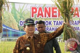 Kaltim Benahi Infrastruktur Pertanian Wujudkan Swasembangan Pangan