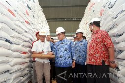Anas: Beras Banyuwangi Aman Hingga 17 Bulan