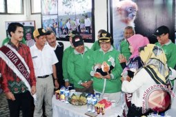 CENDERAMATA MATA BONEKA BEKANTAN