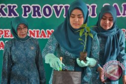 Sherrin minta kader PKK sukseskan Gerakan Tanam Cabai