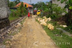 Sampang Anggarkan Rp11 Miliar untuk Jalan Pertanian