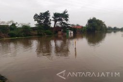 Sejumlah Lokasi di Mojokerto Terendam Banjir (Video)