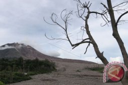 Gunung Sinabung Kembali Erupsi