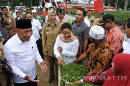 Pemerintah Akan Bangun Dua Pabrik Gula di Jatim-Jateng