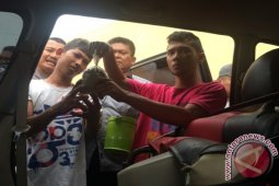Polisi Gagalkan Peredaran 1.384 Butir Ektasi