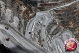 Dirjen: Freeport Minta Negosiasi Diperpanjang Delapan Bulan