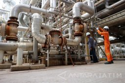 Industri Pupuk Kembangkan Tenaga Gasifikasi