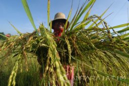 Dampak Cuaca Buruk