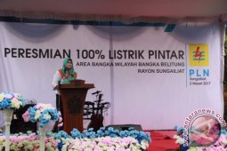 Enam Kabupaten di Babel Gunakan Listrik Prabayar