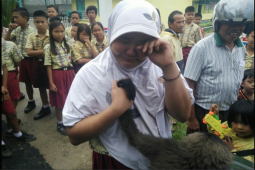 BKSDA Sita Dua Ekor Kelempiau Dari Warga