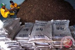Bupati Minta Peternak Sapi Olah Kompos