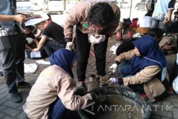 Puluhan Peserta Ikuti LKTB 2017 UK Petra