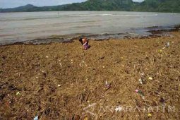 Pantai Sidem Tertutup Sampah
