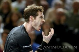 Murray Kalahkan Wawrinka di Eastbourne