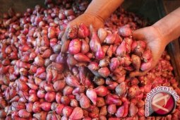 Bawang Merah Selundupan Beredar Di Pasar Sumut