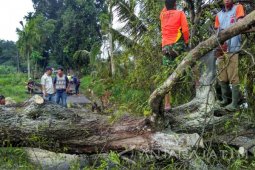 BPBD: Angin Puting Beliung Rusak 25 Rumah Warga