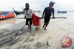 BMKG: pasang air laut di Kepulauan Babel normal