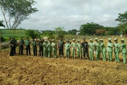 Lahan "Tidur" Jadi Kebun Jagung Dan Singkong