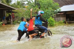 Akibat Banjir, Warga HST Gagal Panen