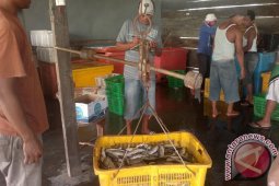 Nelayan Mukomuko Alami Peceklik Ikan