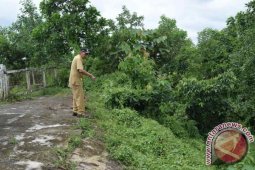 Bupati Sintang Akan Tata Ruang Terbuka Hijau