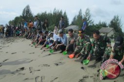 Ratusan Tukik Dilepas Menjaga Koservasi Keragaman Hayati