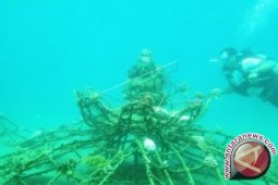 BPSPL Denpasar Menata Ribuan Karang Sitaan 