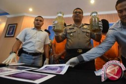 PN Denpasar Sidangkan Pelaku Perdagangan Benih Lobster Dilindungi