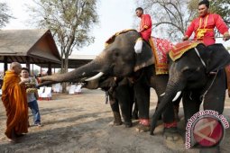 Hari Gajah Thailand Dirayakan Dengan Prasmanan