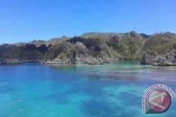 Pemkab : Kerusakan Terumbu Karang Raja Ampat Kelalaian Nahkoda