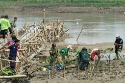 BPBD Bojonegoro Tanam 1.500 Mangrove Amankan Longsor