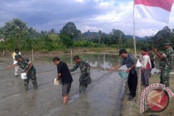Distan Abdya semai benih padi perdana