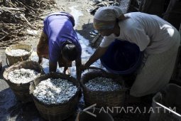 Ikan Kering Sitobondo