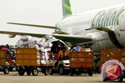 Domestic air passenger traffic up 33% in Nov