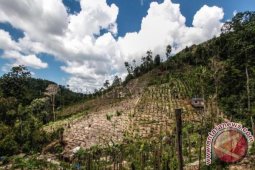 Pemkab Bangka Tengah Inventarisasi Kawasan Hutan Mangkol