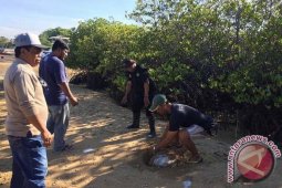 FPMB Kawal Penegakan Hukum "Reklamasi" Terselubung Benoa