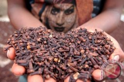 Petani keluhkan anjloknya harga cengkih di Sabang