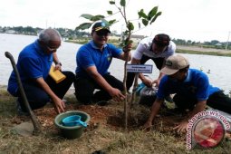 Pemprov Babel Tanam Pohon di Kolong Retensi